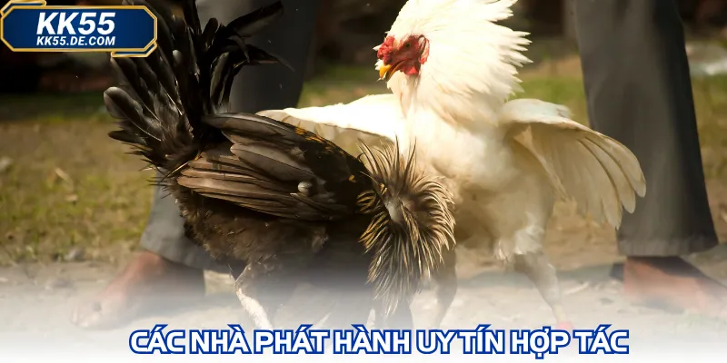 Các nhà phát hành uy tín hợp tác