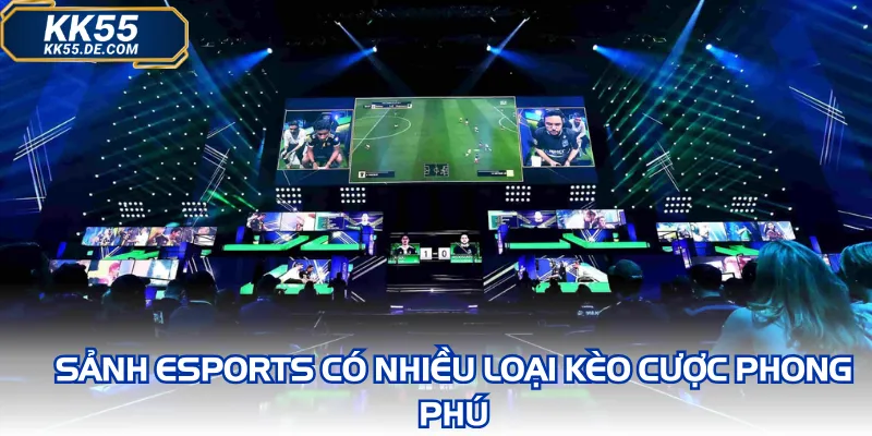 Sảnh esports có nhiều loại kèo cược phong phú